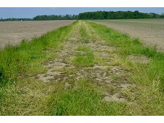 Property photo 76 - LAND AUCTION - 215+/- ACRES OFFERED IN 6 TRACTS IN VAN WERT COUNTY, OHIO